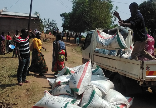 Maize Distribution Likhubula